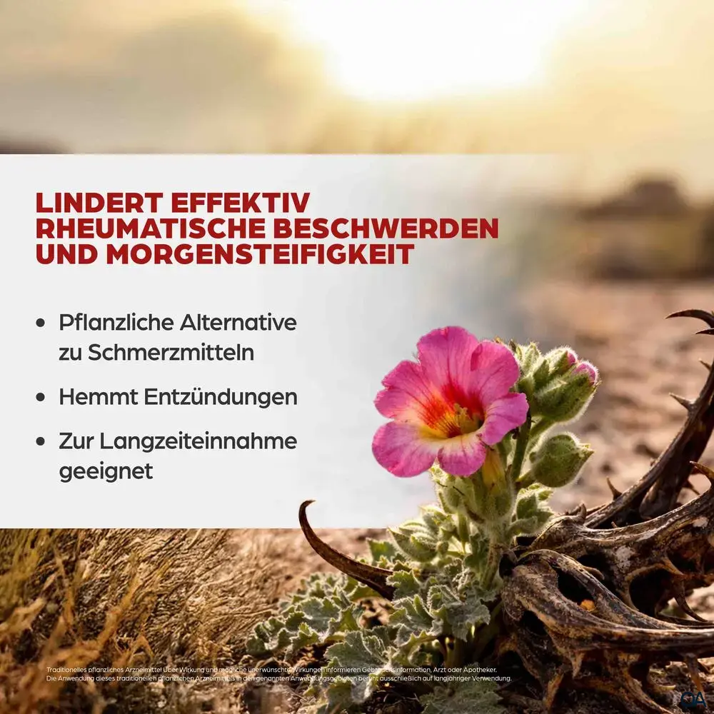 Dr. Böhm® Teufelskralle 600 mg Filmtabletten