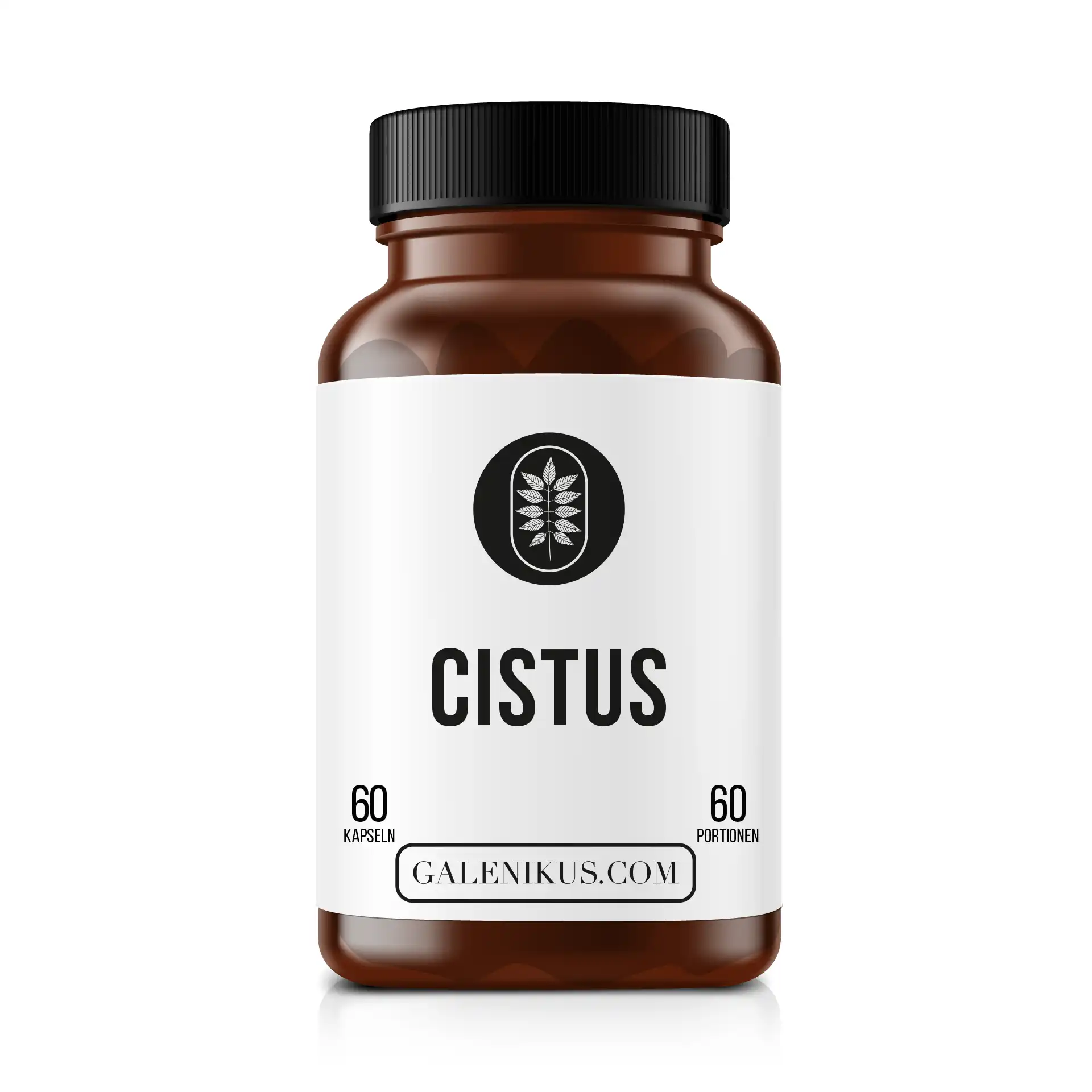 ATRIUM Cistus ATRIUM Cistus