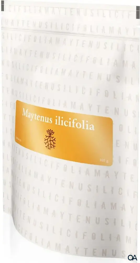 Maytenus Ilicifolia Tee, lose