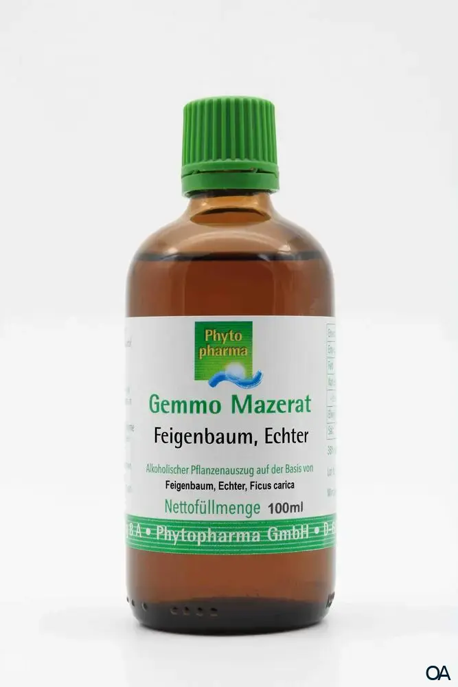 Phytopharma Gemmo Mazerat Echter Feigenbaum Tropfen Phytopharma Gemmo Mazerat Echter Feigenbaum Tropfen