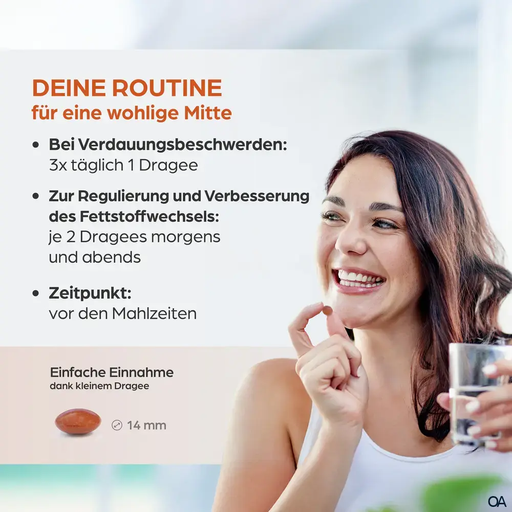 Dr. Böhm® Artischocke 450 mg Dragees
