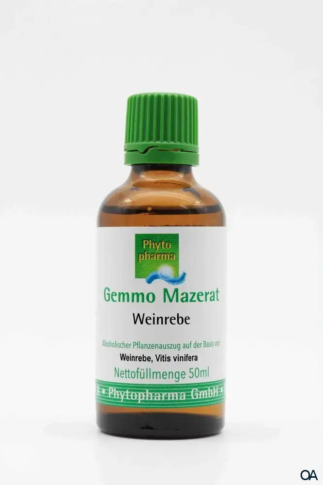 Phytopharma Gemmo Mazerat Weinrebe Tropfen