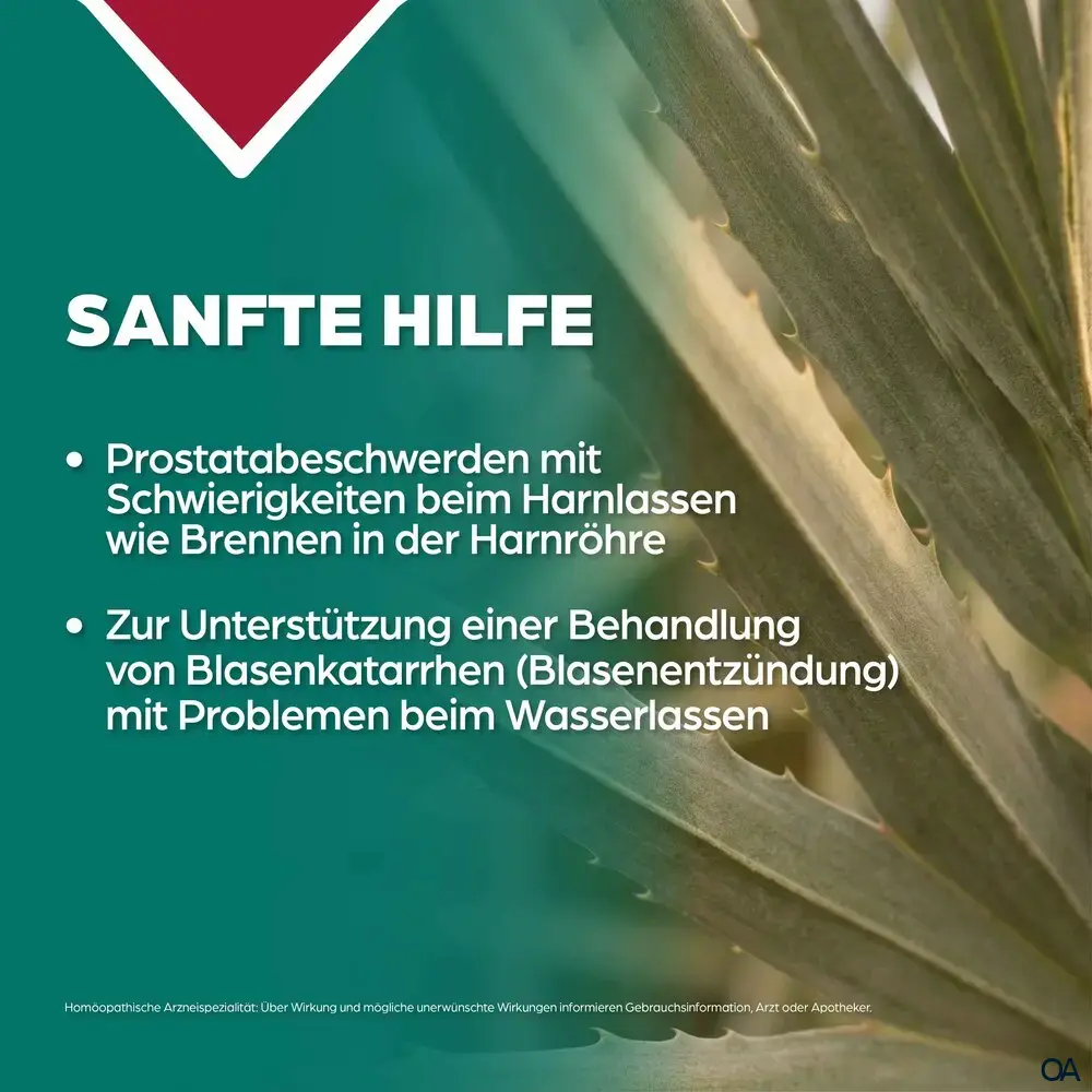 Apozema® Prostata Sabal serrulatum complex Nr. 25 Tropfen zum Einnehmen