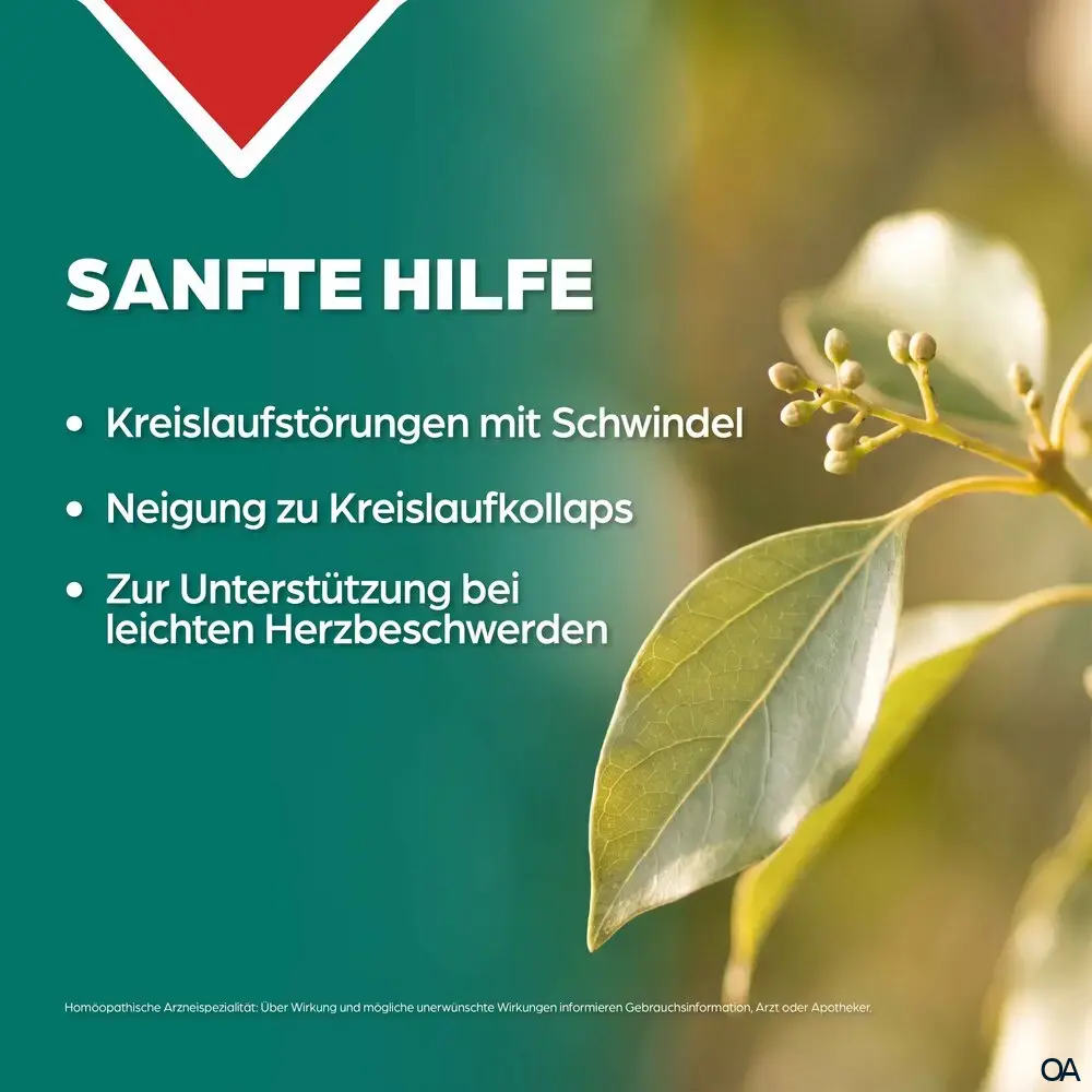 Apozema® Herz- und Kreislauf Camphora complex Nr. 18 Tropfen zum Einnehmen