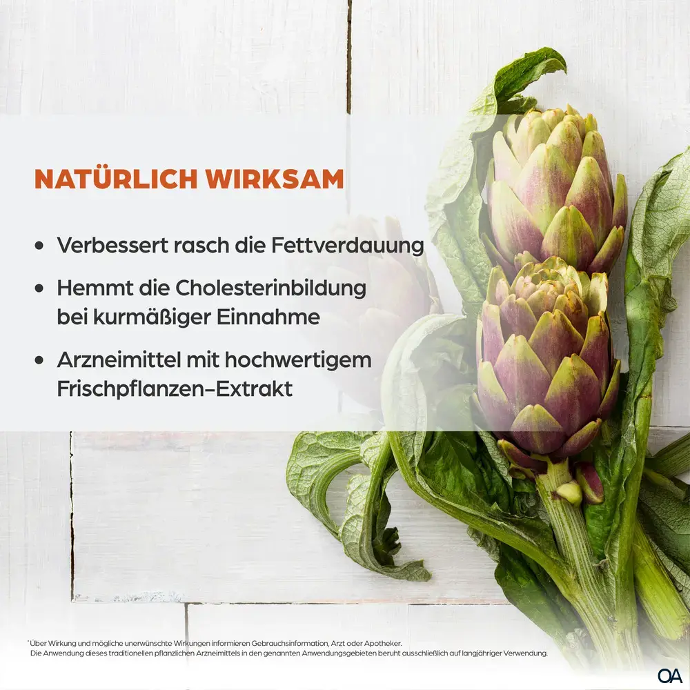 Dr. Böhm® Artischocke 450 mg Dragees