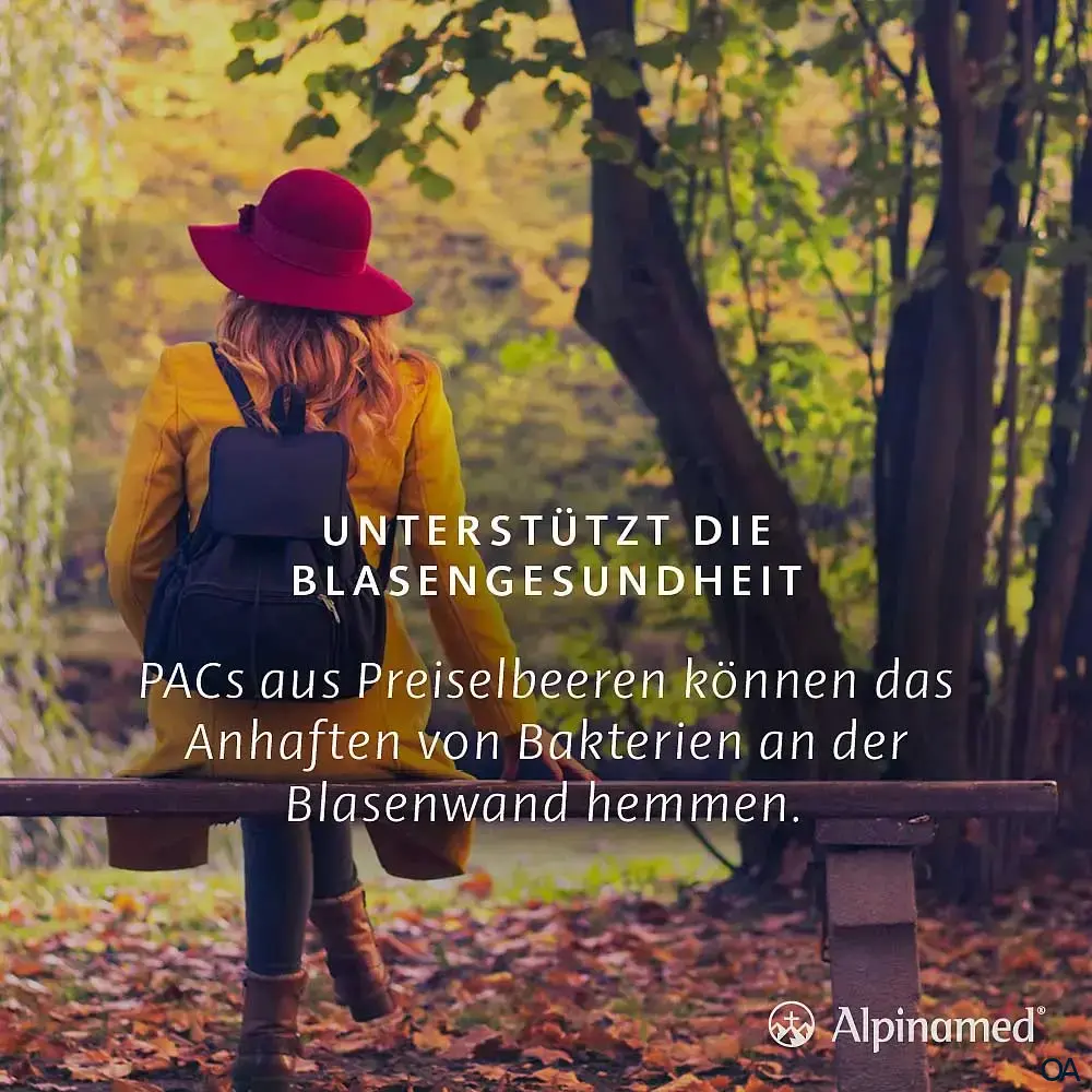 Alpinamed® Preiselbeer-Granulat