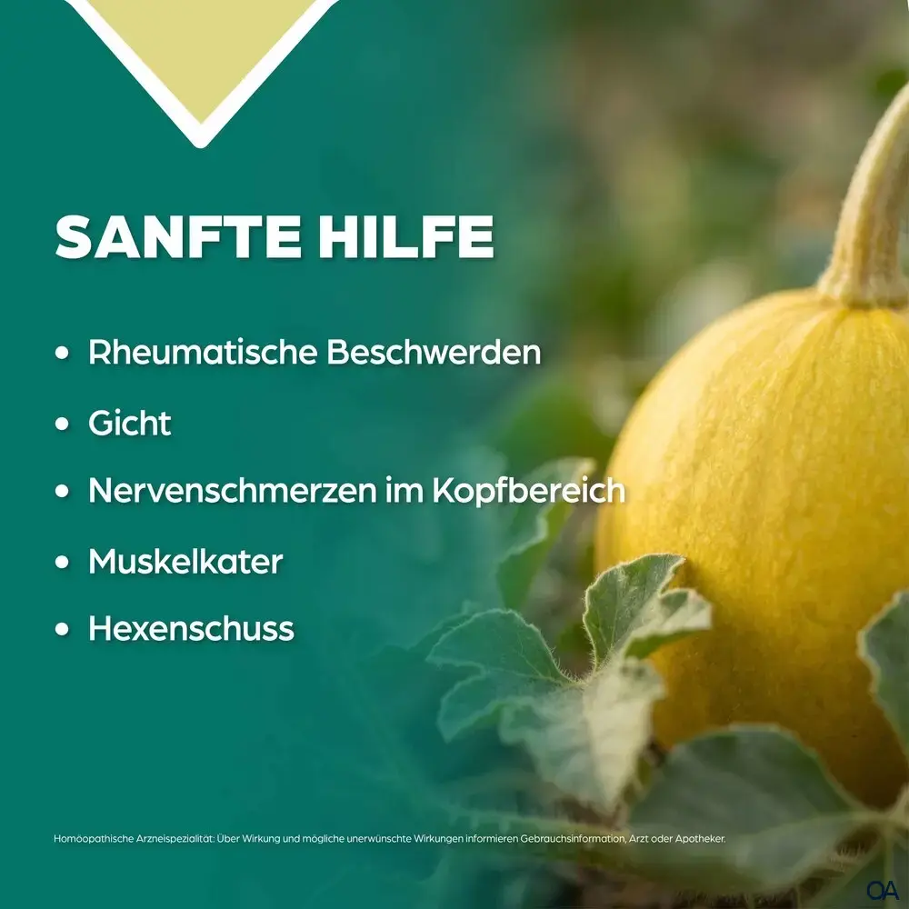 Apozema® Nervenschmerzen Colocynthis complex Nr. 24 Tropfen zum Einnehmen