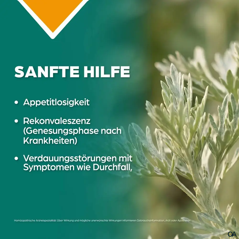 Apozema® Appetit Abrotanum complex Nr. 4 Tropfen zum Einnehmen