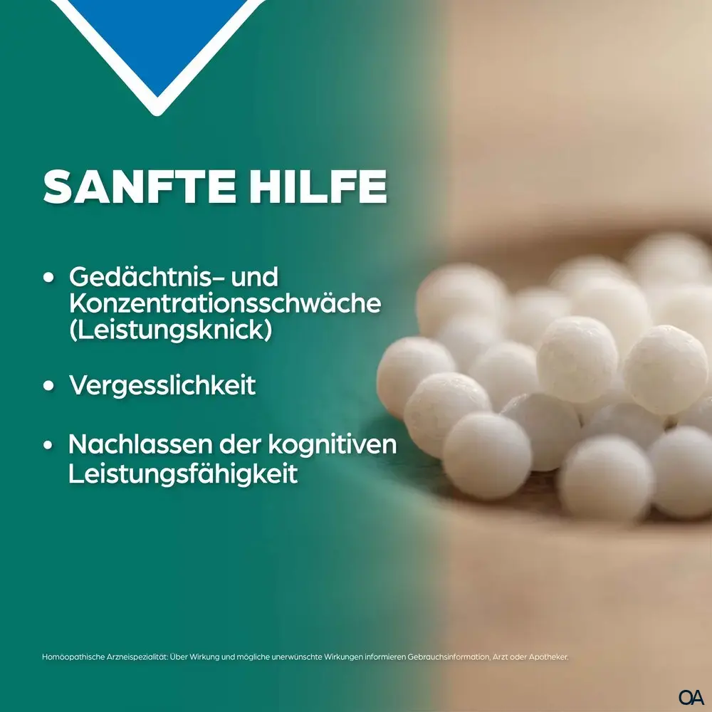Apozema® Gedächtnis- und Konzentration Glonoinum complex Nr. 17 Tropfen zum Einnehmen