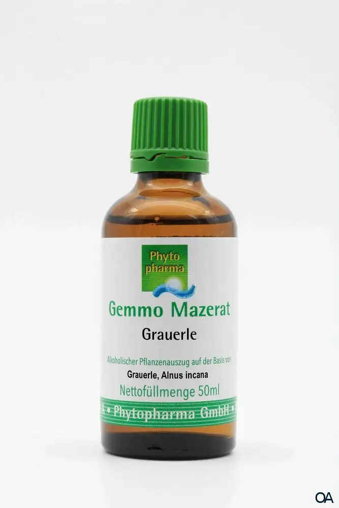 Phytopharma Gemmo Mazerat Grauerle Tropfen Phytopharma Gemmo Mazerat Grauerle Tropfen