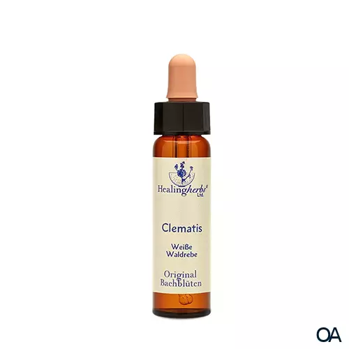 Healing Herbs Bachblüten Clematis Tropfen
