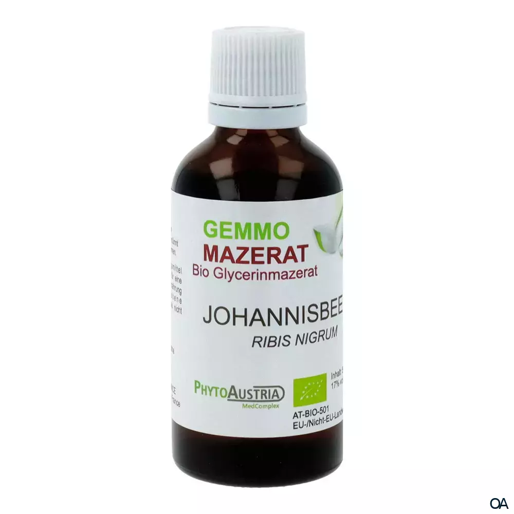 PhytoAustria Bio Gemmo Mazerat Johannisbeere (Ribis Nigrum) Tropfen