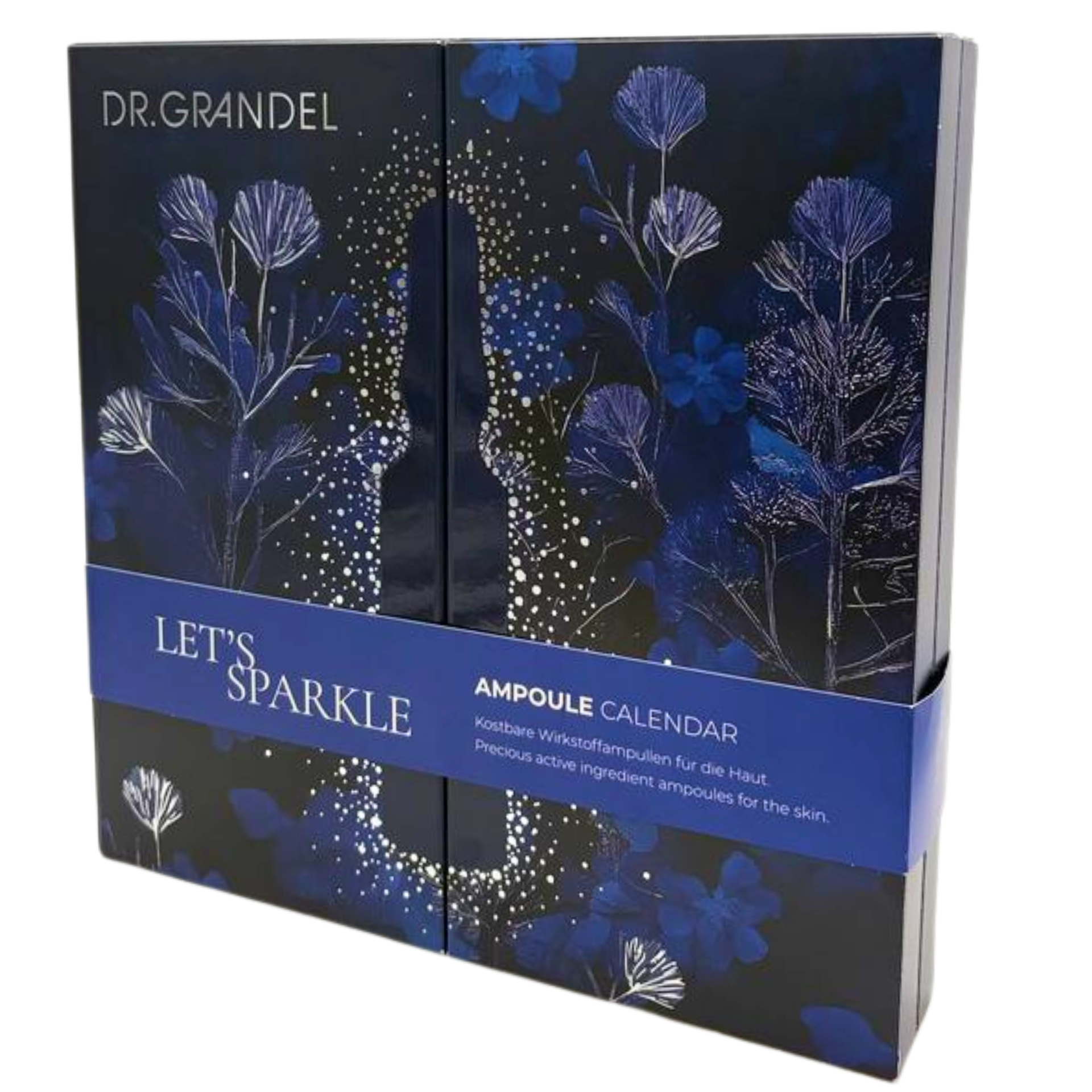 DR. GRANDEL Adventkalender 2025