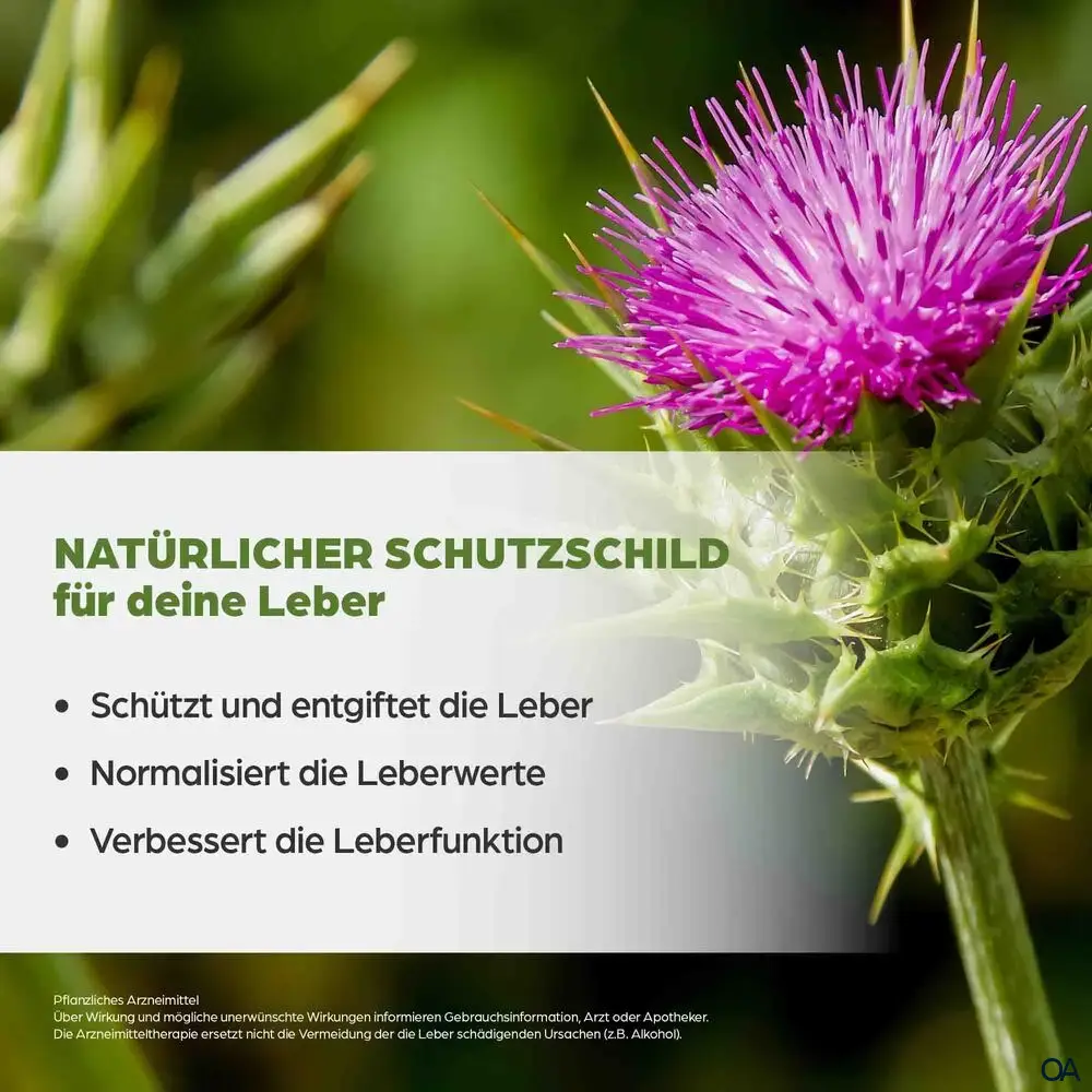 Dr. Böhm® Mariendistel 140 mg Kapseln