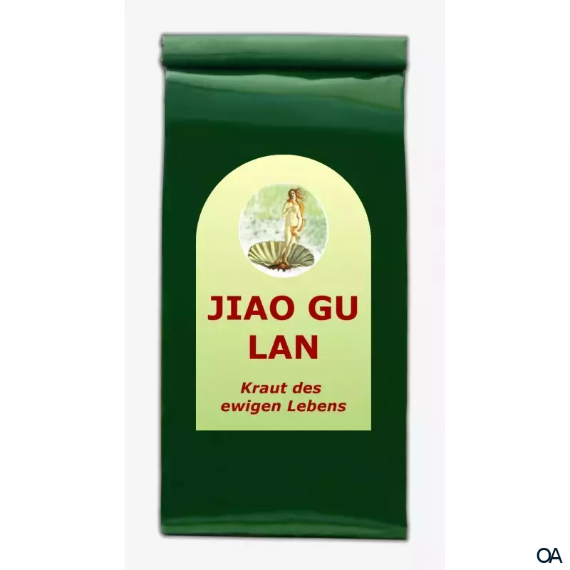 Jiao Gu Lan Kraut Jiao Gu Lan Kraut