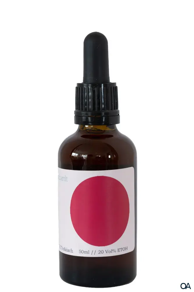 K.M. Burkhardt Frauenelixier „Feel Strong“ Tropfen K.M. Burkhardt Frauenelixier „Feel Strong“ Tropfen