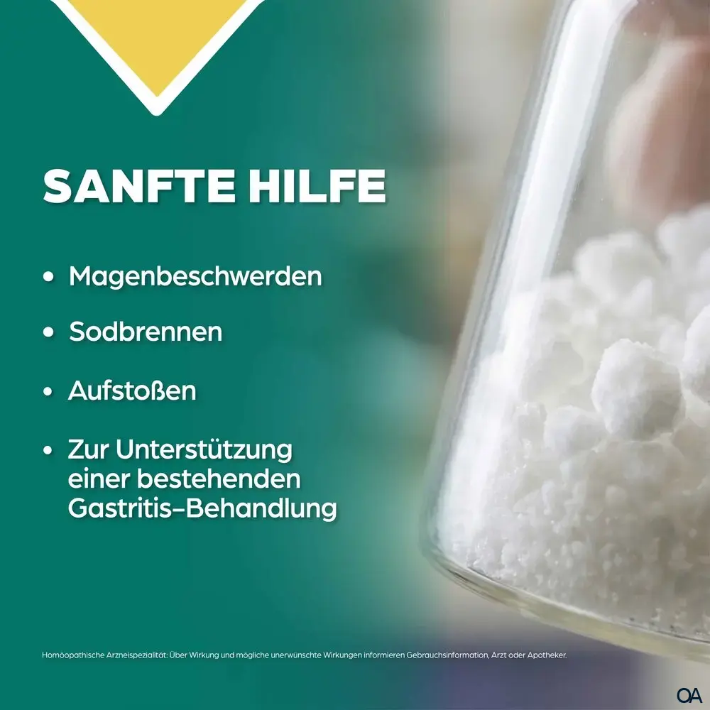 Apozema® Gastritis Argentum nitricum complex Nr. 16 Tropfen zum Einnehmen