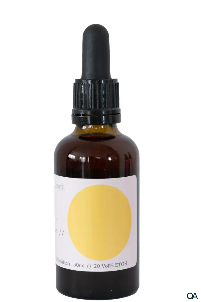 K.M. Burkhardt Elixier „Feel Healthy“ Tropfen K.M. Burkhardt Elixier „Feel Healthy“ Tropfen